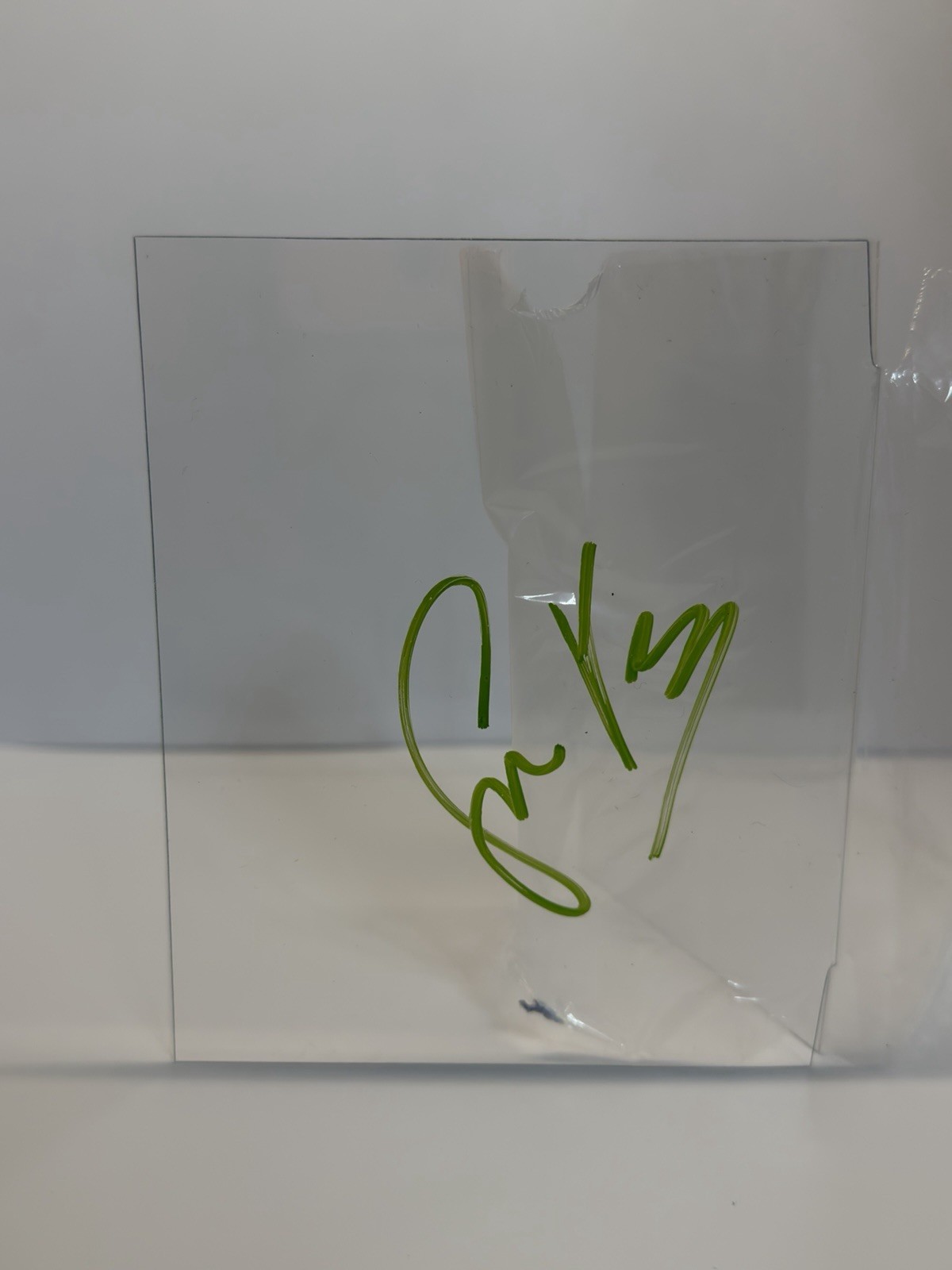 Simon Pegg Signed Funko Pop Window – Autographed w/ Proof Video