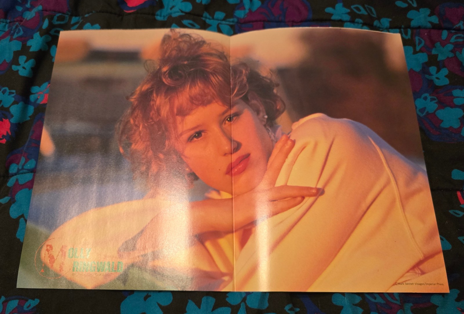 DIANE LANE/MOLLY RINGWALD – ORIGINAL FOLDED JAPANESE POSTER