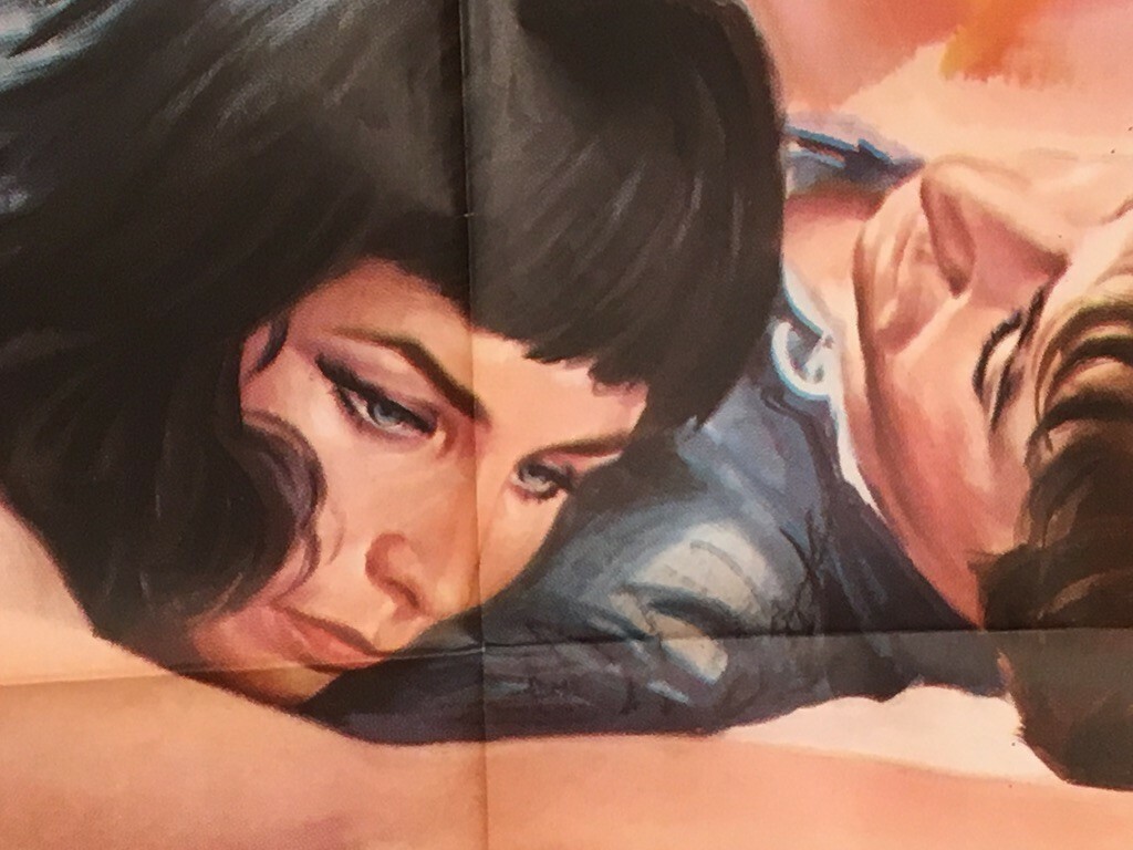 1969 IL GATTO SELVAGGIO Italian film Poster 2F Art CASARO RARE Counter Culture !