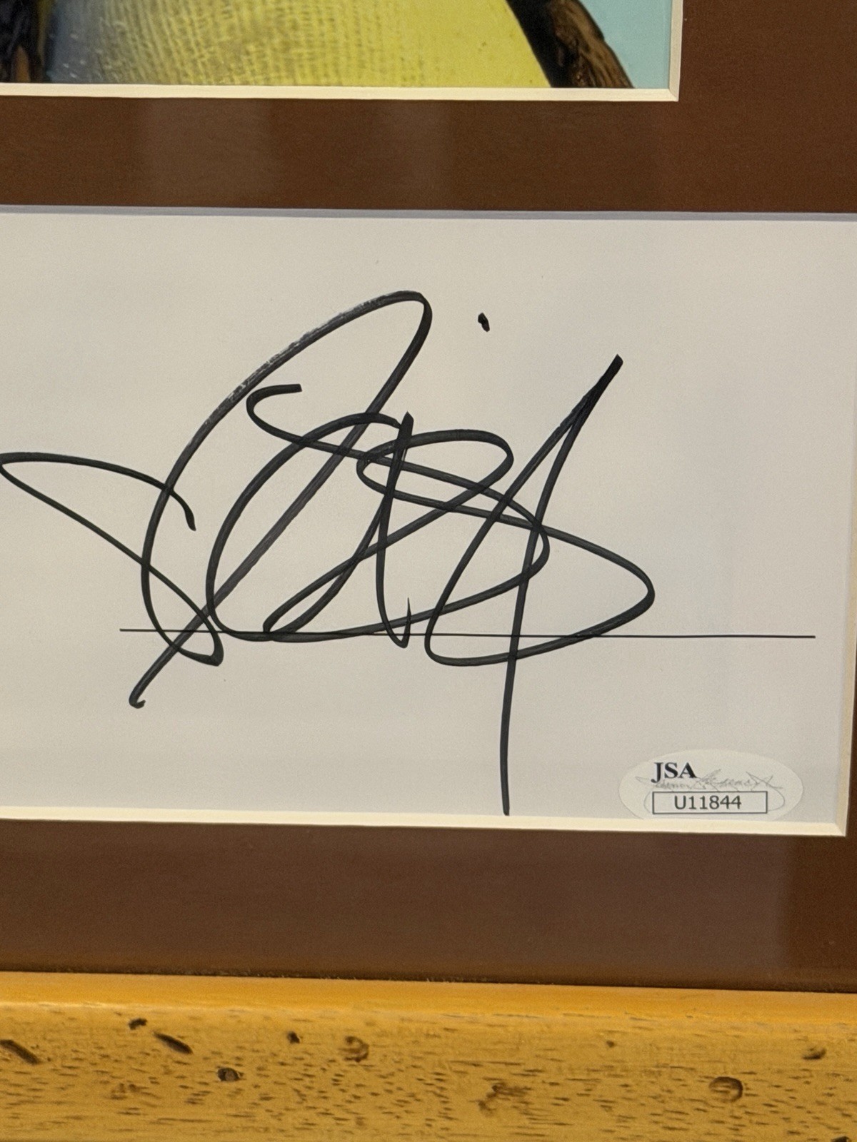 Cameron Diaz / Shrek/ Signed/ Autograph / Framed / JSA COA/ Prem Matt-JSA U11844