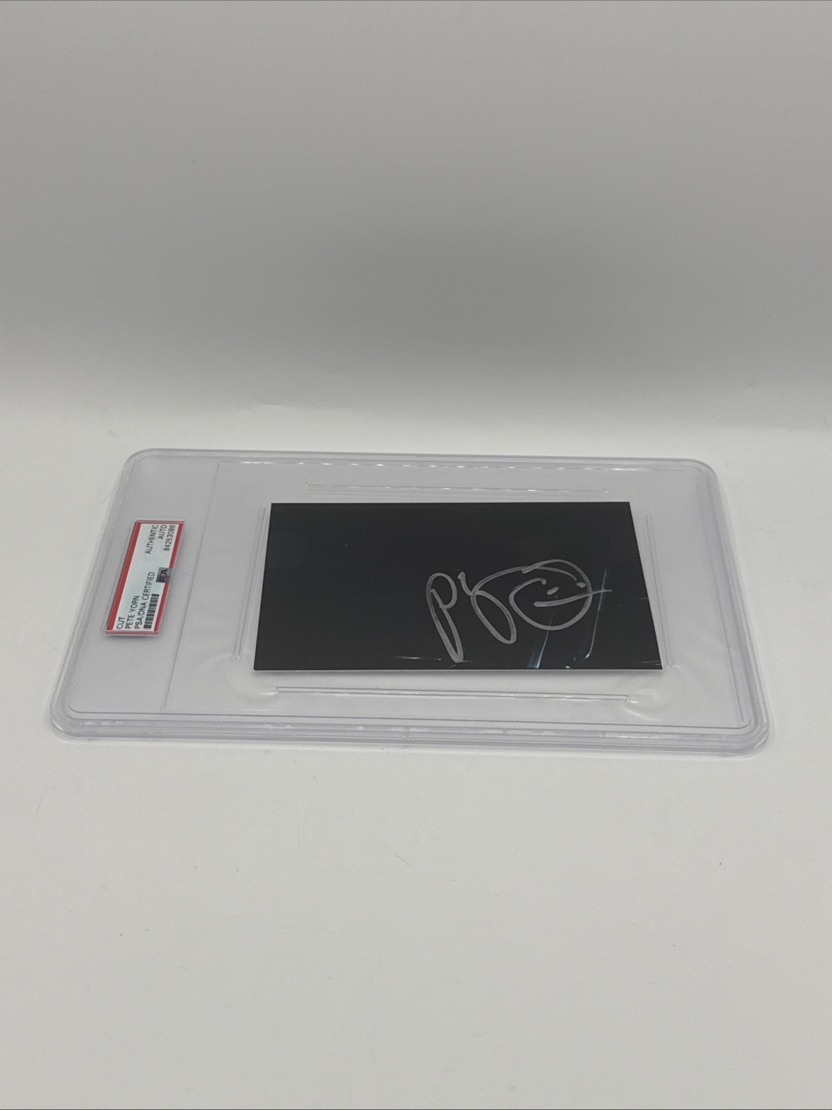 Pete Yorn Legendary Songwriter, Singer & Musician Signed Autographed Cut PSA/DNA
