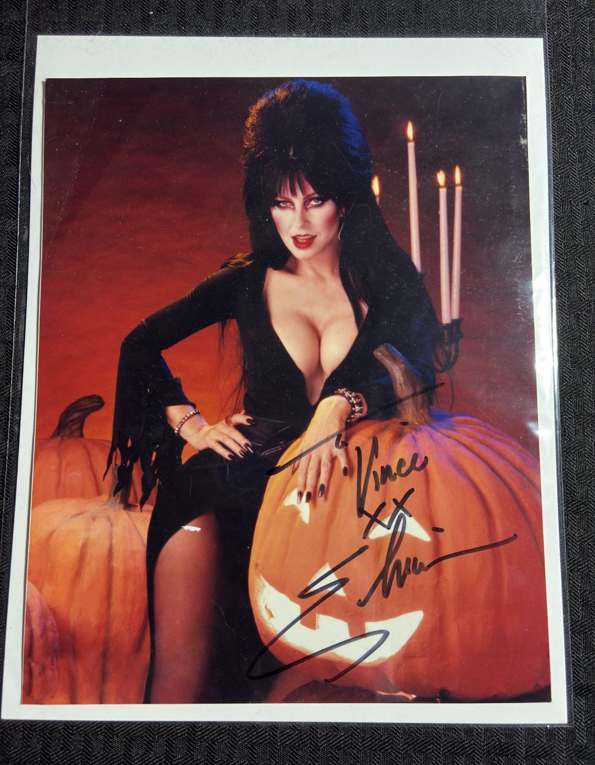 ELVIRA Cassandra Peterson with Pumpkin 8×10″ SIGNED Color Photo FVF 7.0