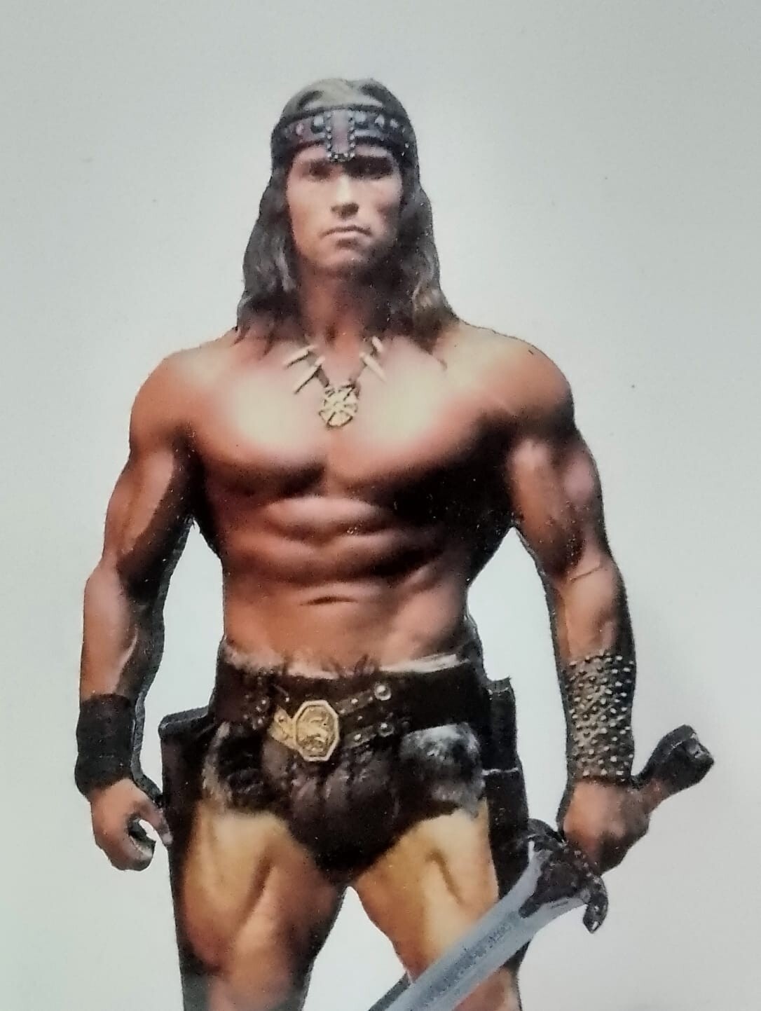 ARNOLD SCHWARZENEGGER 8″ CONAN DISPLAY Standee Figure Statue Movie The Barbarian