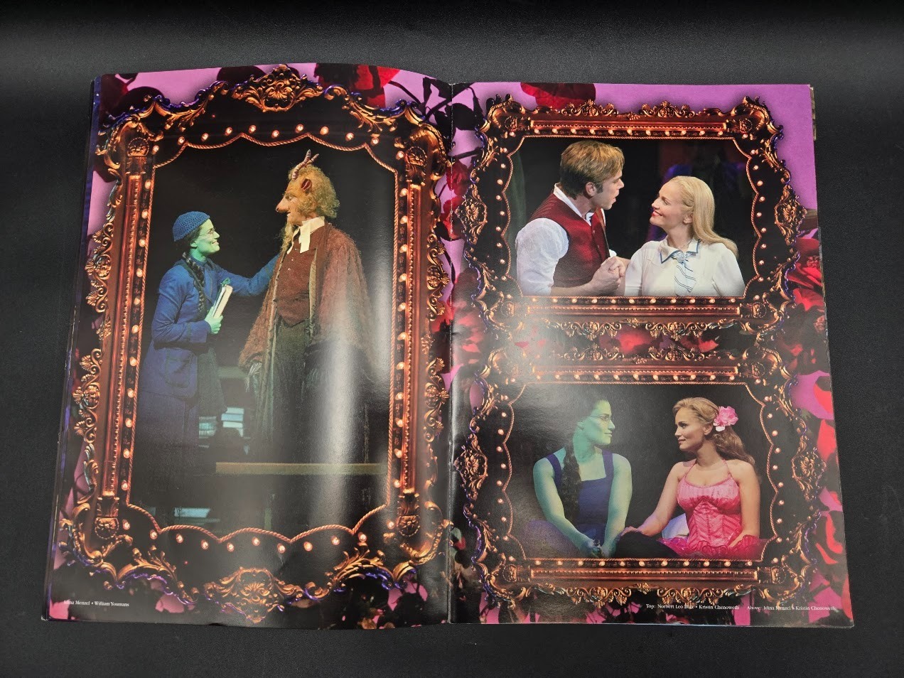Wicked Program Autographed Broadway Show Stephanie Block Jenna Green