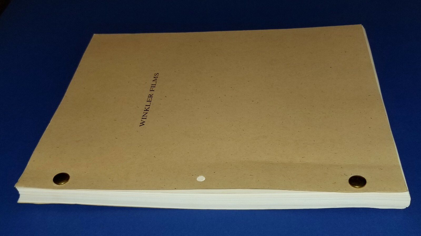 ENOUGH original script 2002 JENNIFER LOPEZ MICHAEL APTED thriller drama