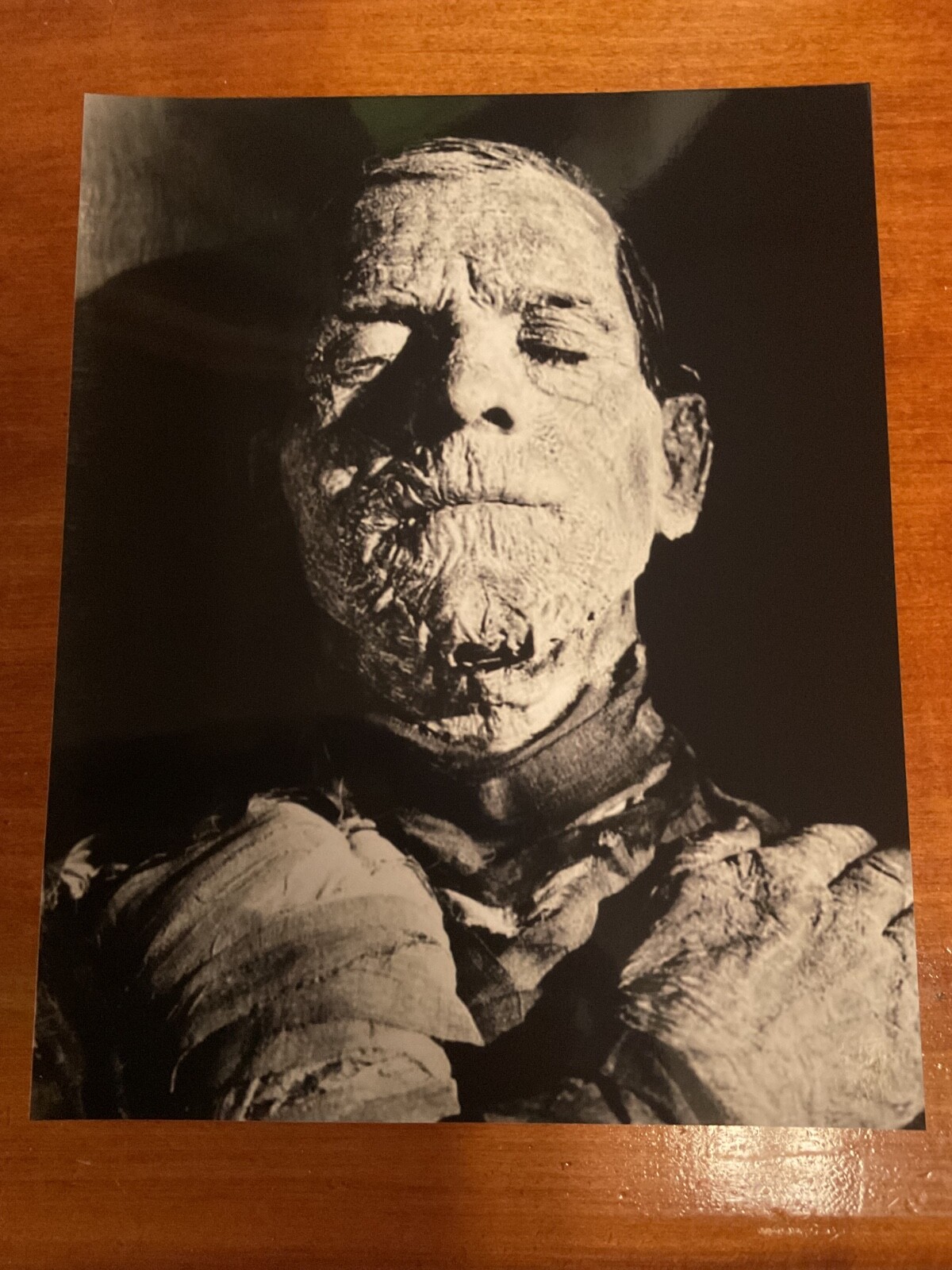 THE MUMMY Boris karloff universal horror monsters 8×10 art print photo