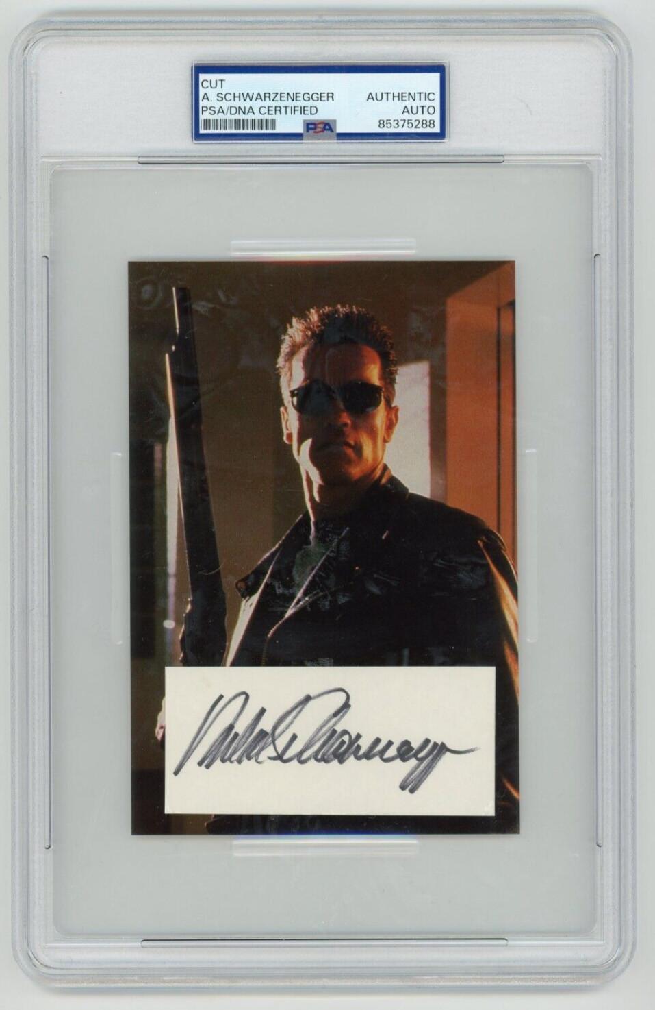 Arnold Schwarzenegger Terminator 2 T2 Autographed 1991 Postcard Cut PSA