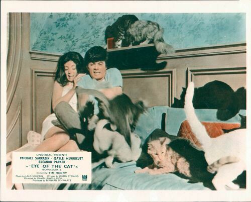 EYE OF THE CAT ORIGINAL LOBBY CARD GAYLE HUNNICUTT MICHAEL SARRAZIN WITH CATS