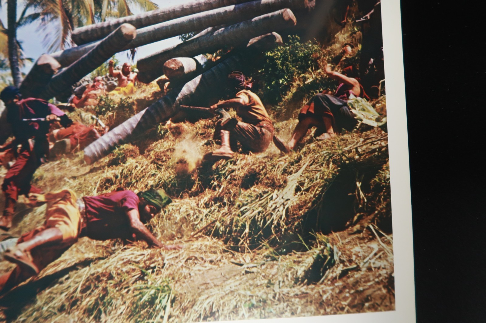 Swiss Family Robinson Lobby Cards 1975 Disney Stills Originals 11 x 14 NSS R75/4