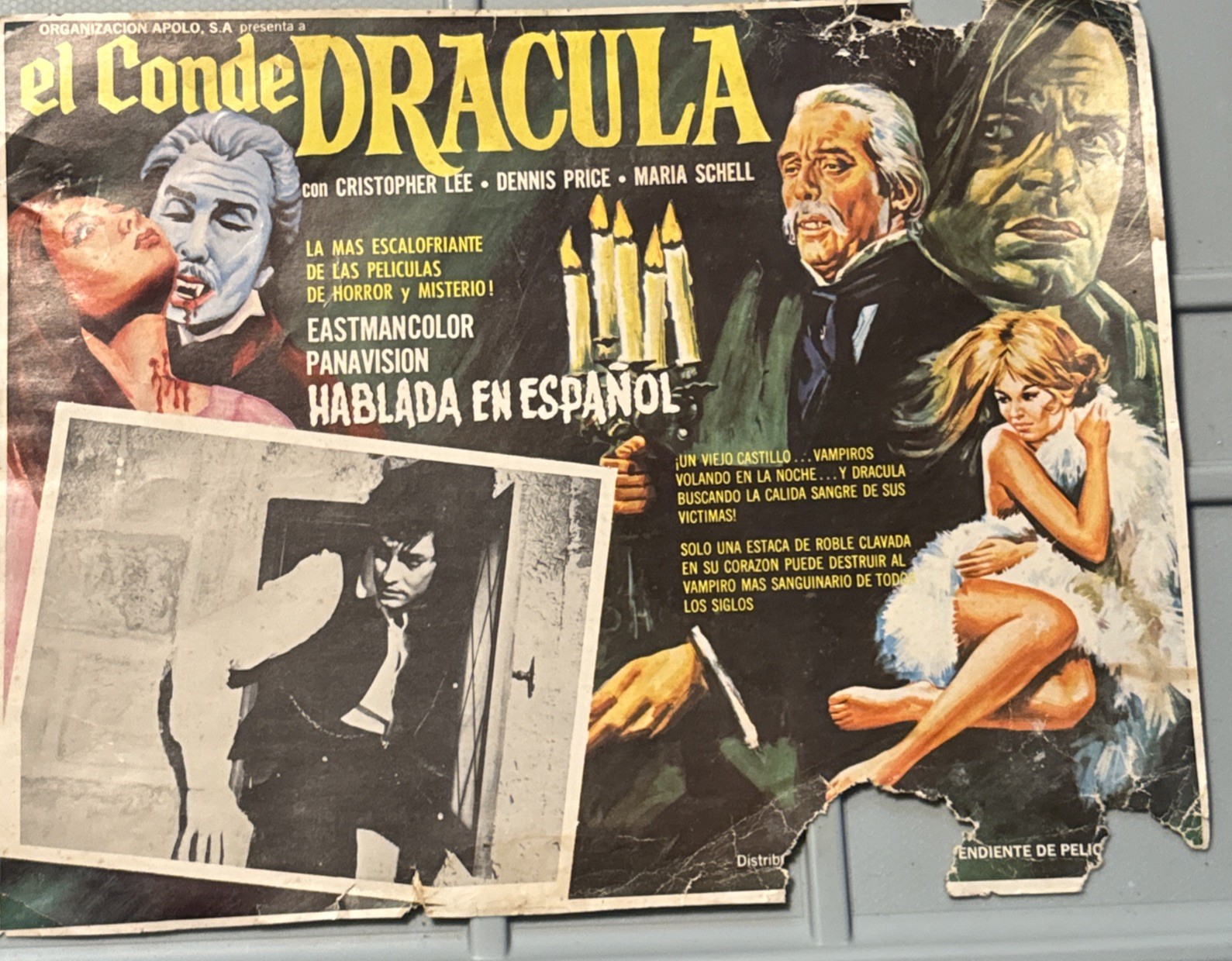 EL CONDE COUNT DRACULA 16×13″ Mexican Lobby Card Maria Schell