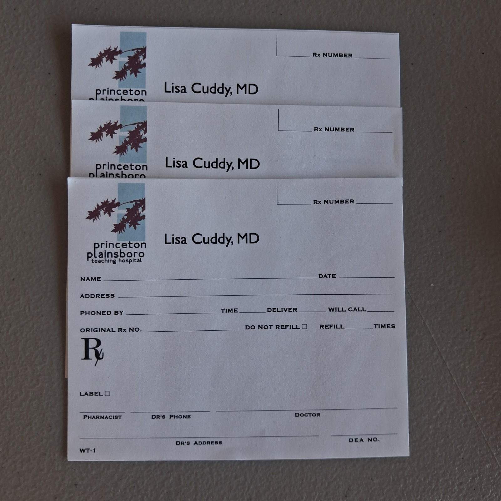 House TV Show Wardrobe Production Used Prop Lisa Edelstein Prescription Slips