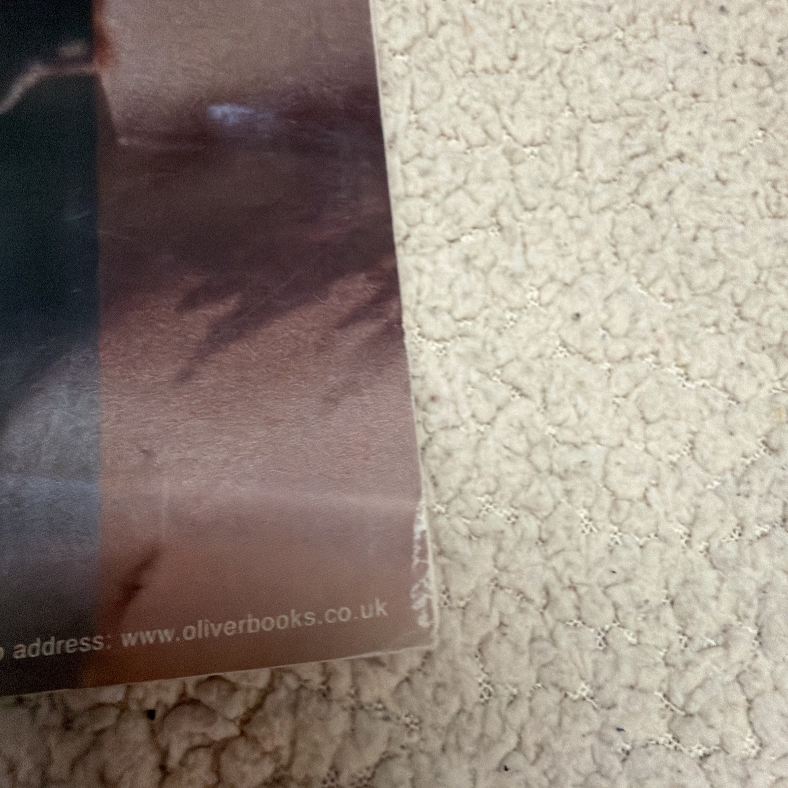 Bruce Springsteen Wall Calendar 2000 Full Color Full Page ￼