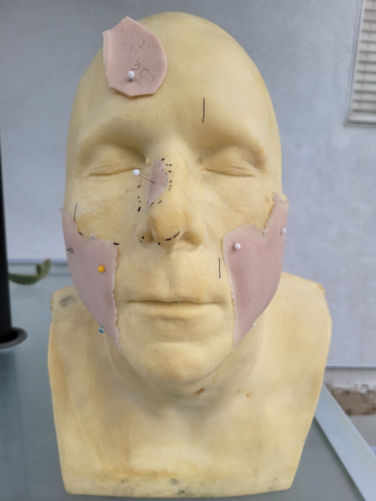 Greg Cannom Actor Christian Bale Head Hollywood Makeup Artist Oscar Winner VICE