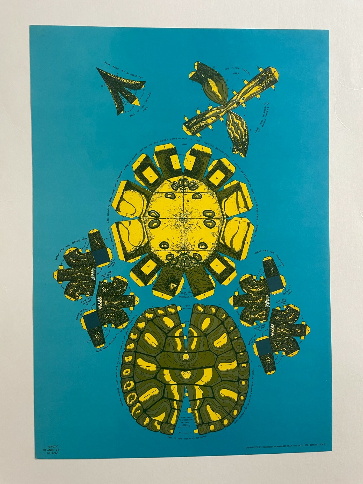 1st Printing 1967 Berkeley Bonaparte Turtles Cut and Assemble Poster AOR FD BG