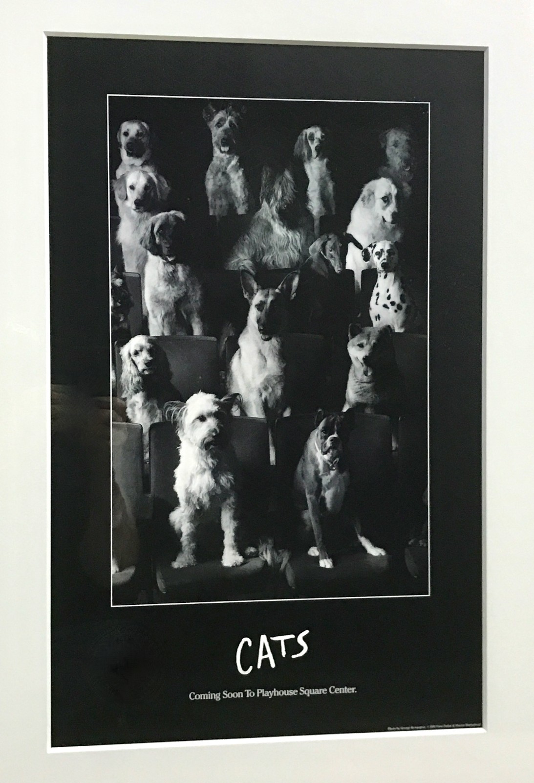 Rare CATS Musical Poster “Dogs” — ORIGINAL — Listed by Creator — Won Gold Clio