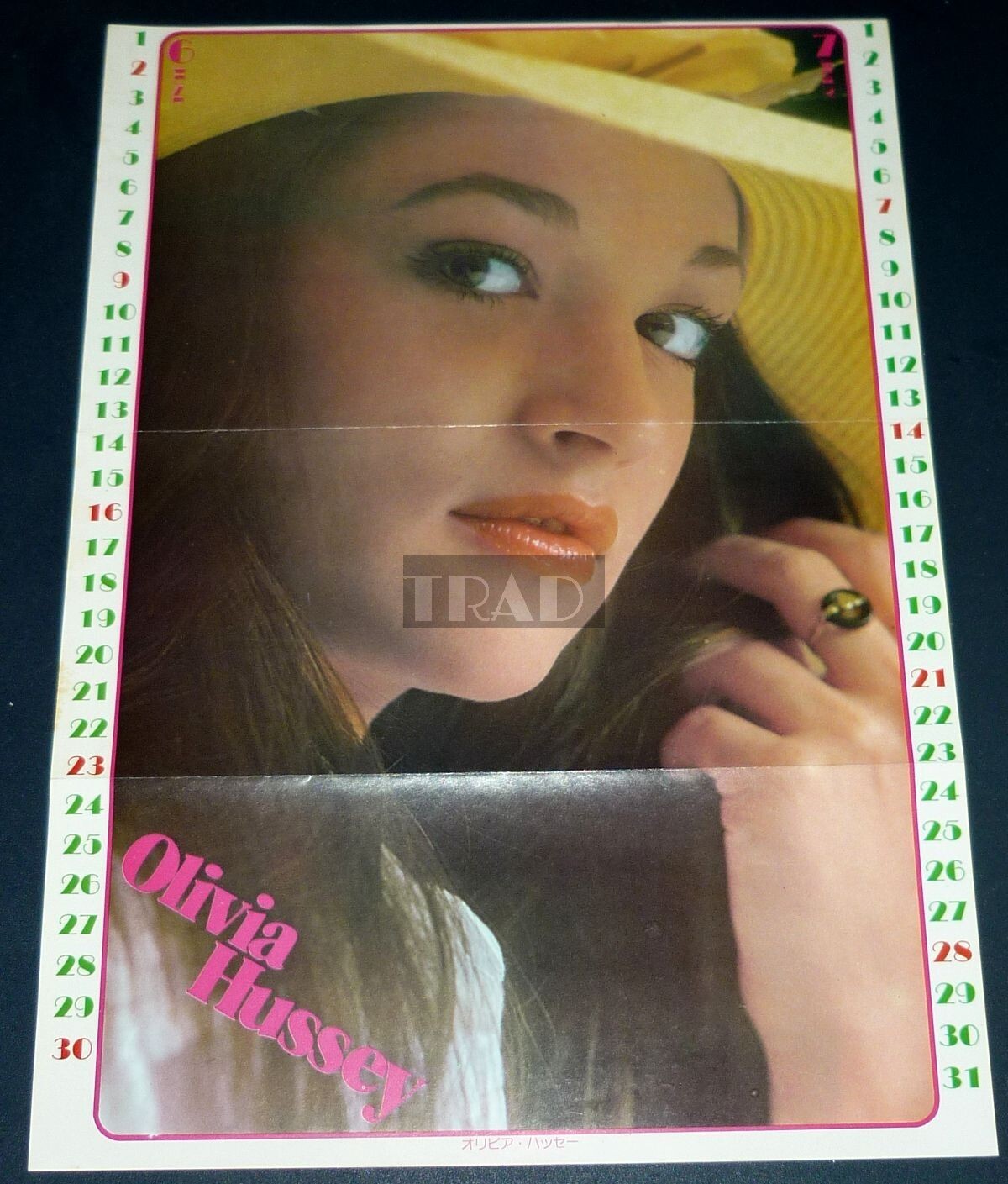 OLIVIA HUSSEY 1974 Vintage JPN Pinup Poster 11.6×16 (29.5x41cm) se/t