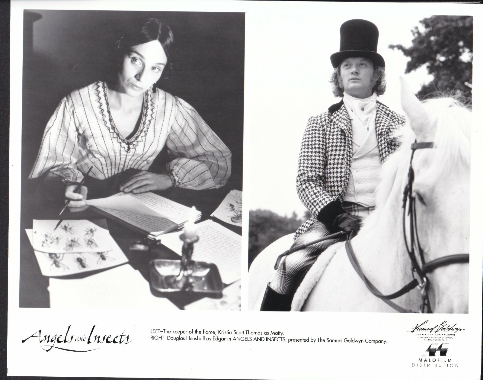 Kristin Scott Thomas Douglas Henshall Angels and Insects 1995 movie photo 30900