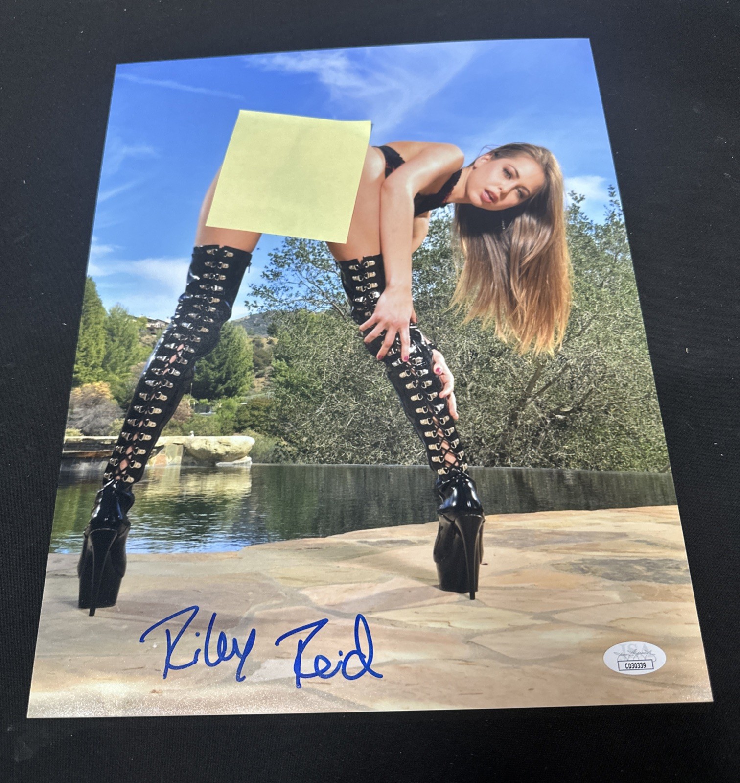 Riley Reid Signed 11×14 Photo Adult Star Autographed JSA COA