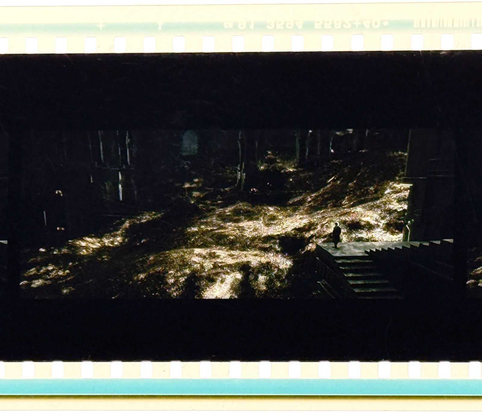 The Hobbit: The Desolation of Smaug – Smaug’s Lair – 70mm IMAX Film [3 Frames]