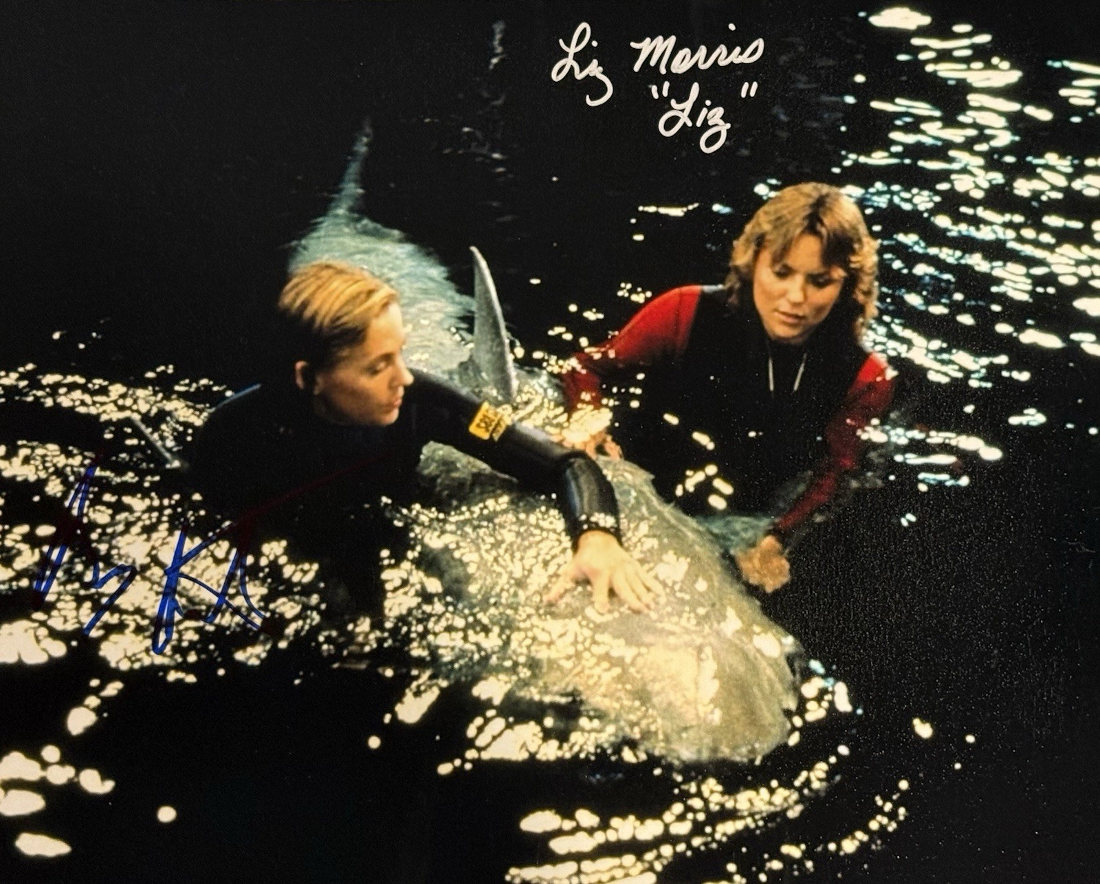 Liz Morris & Bess Armstrong Autographed Signed Jaws 3D 8×10 RARE K9 COA