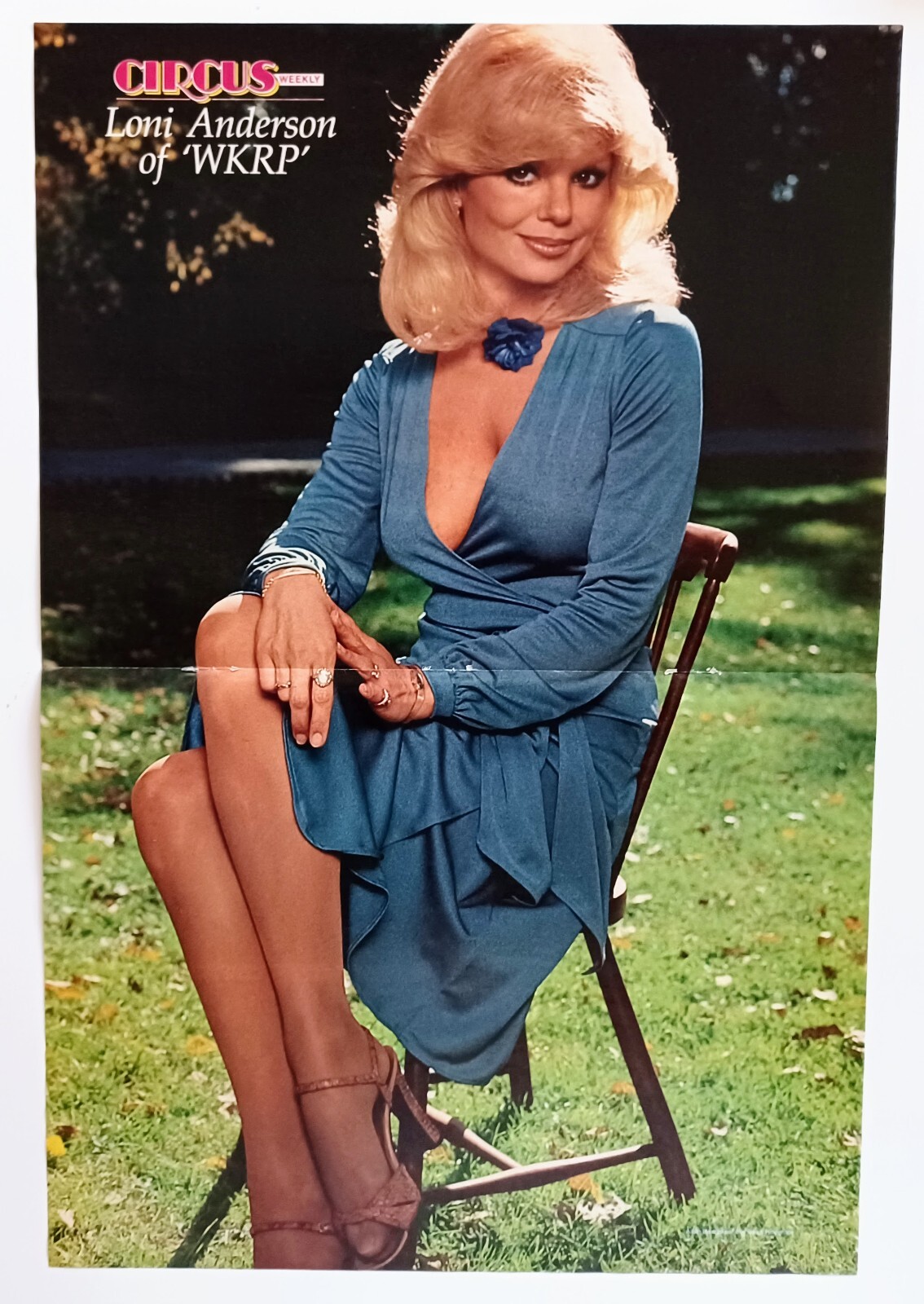 LONI ANDERSON~ORIG 1979 SEXY CENTERFOLD POSTER~VTG CIRCUS PRINT MAGAZINE PINUP