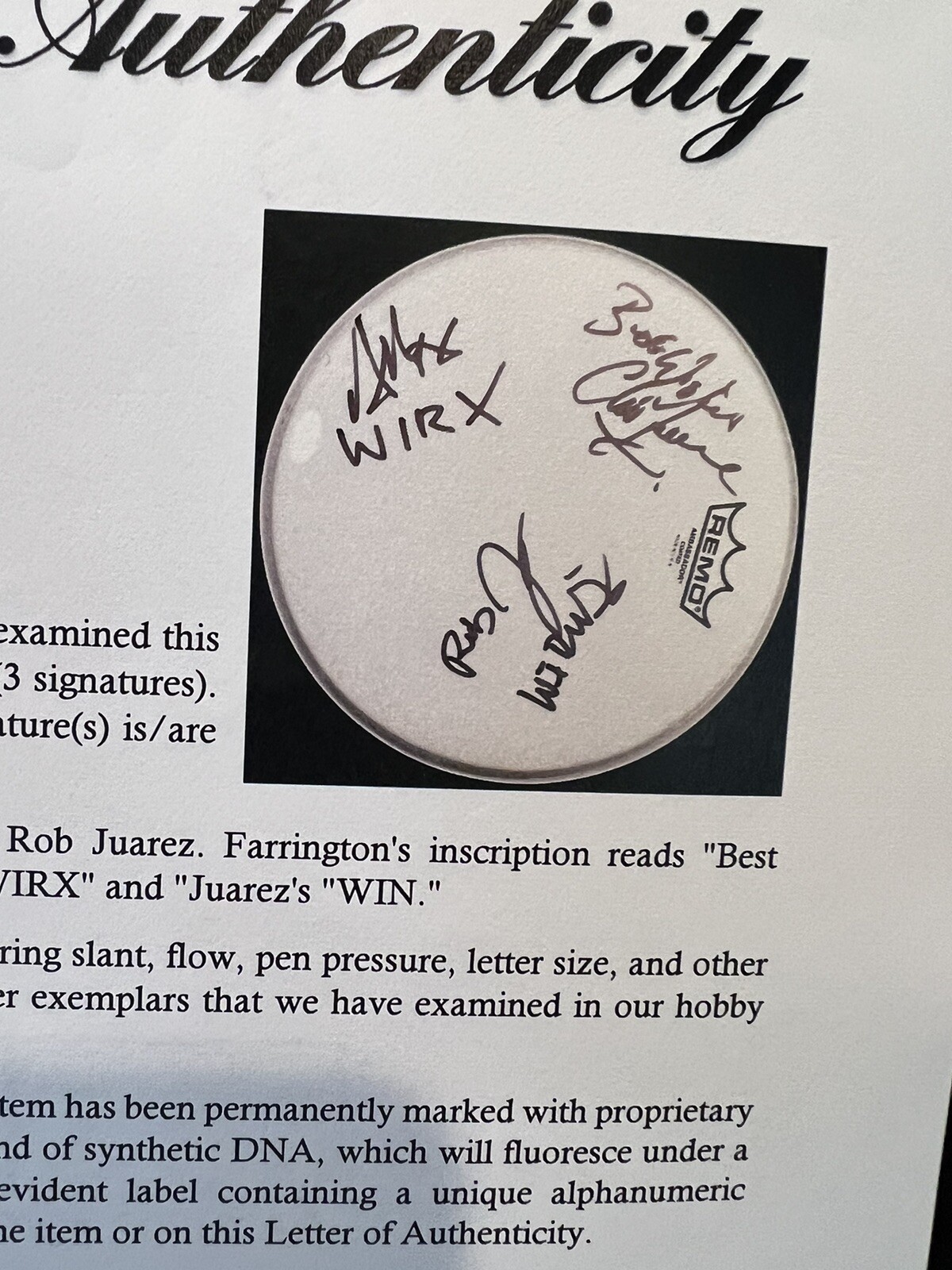 When In Rome signed Autographed Drumhead Pop Rock PSA/DNA Authenticity