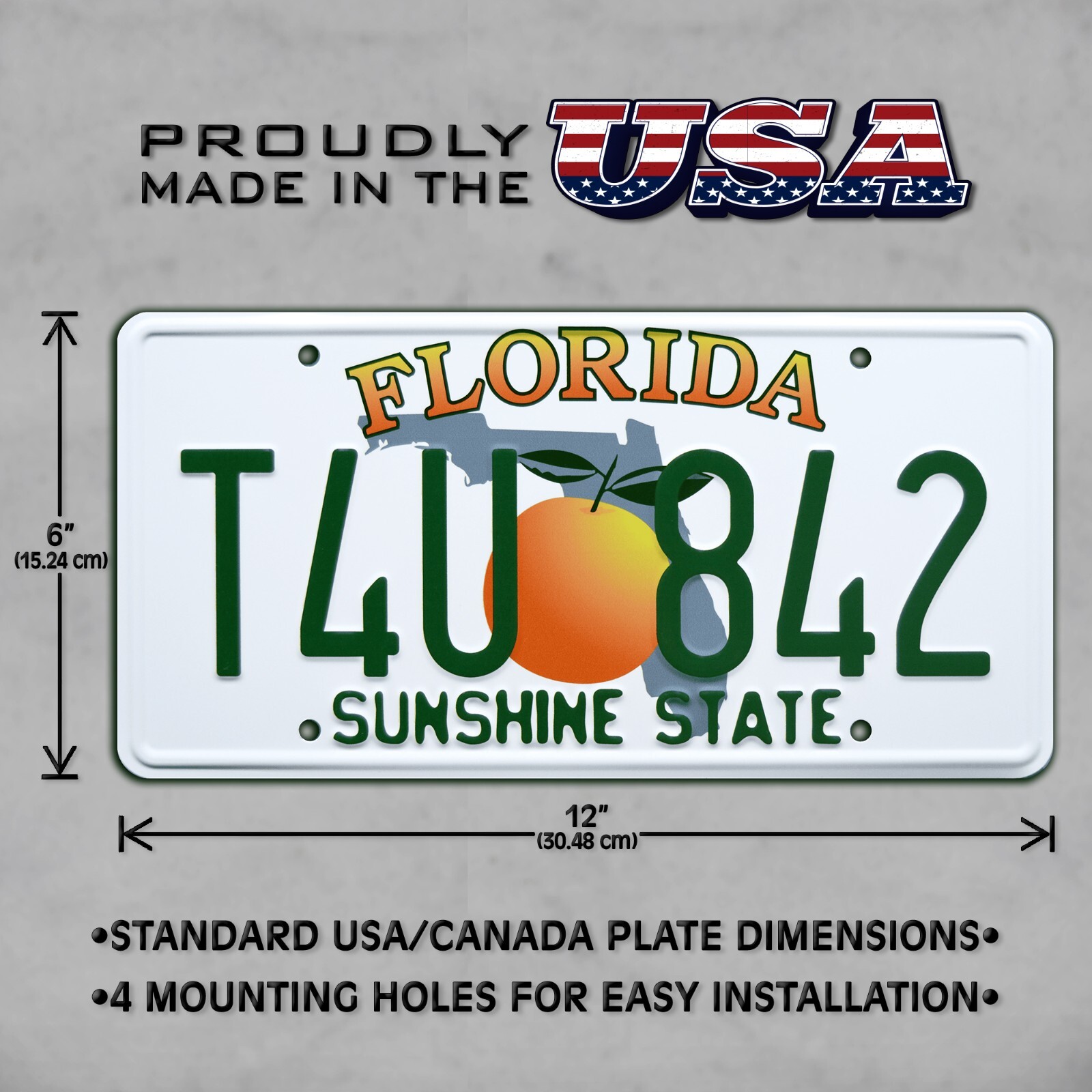 2 Fast 2 Furious | Paul Walker’s Skyline | T4U 842 | STAMPED Prop License Plate