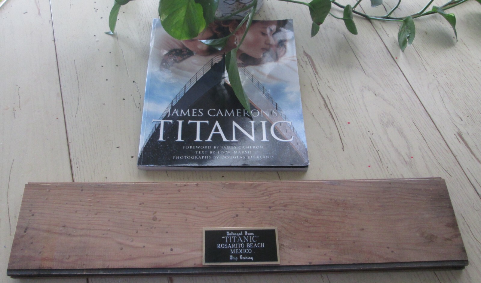 TITANIC MOVIE PROP PIECE OF 24″ DECKING SCREEN USED