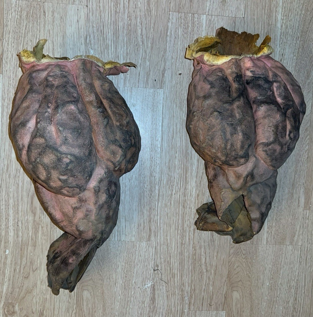 Double Dragon – Abobo (Henry Kingi) Production Worn Prop Leg Prosthetics! Chiodo
