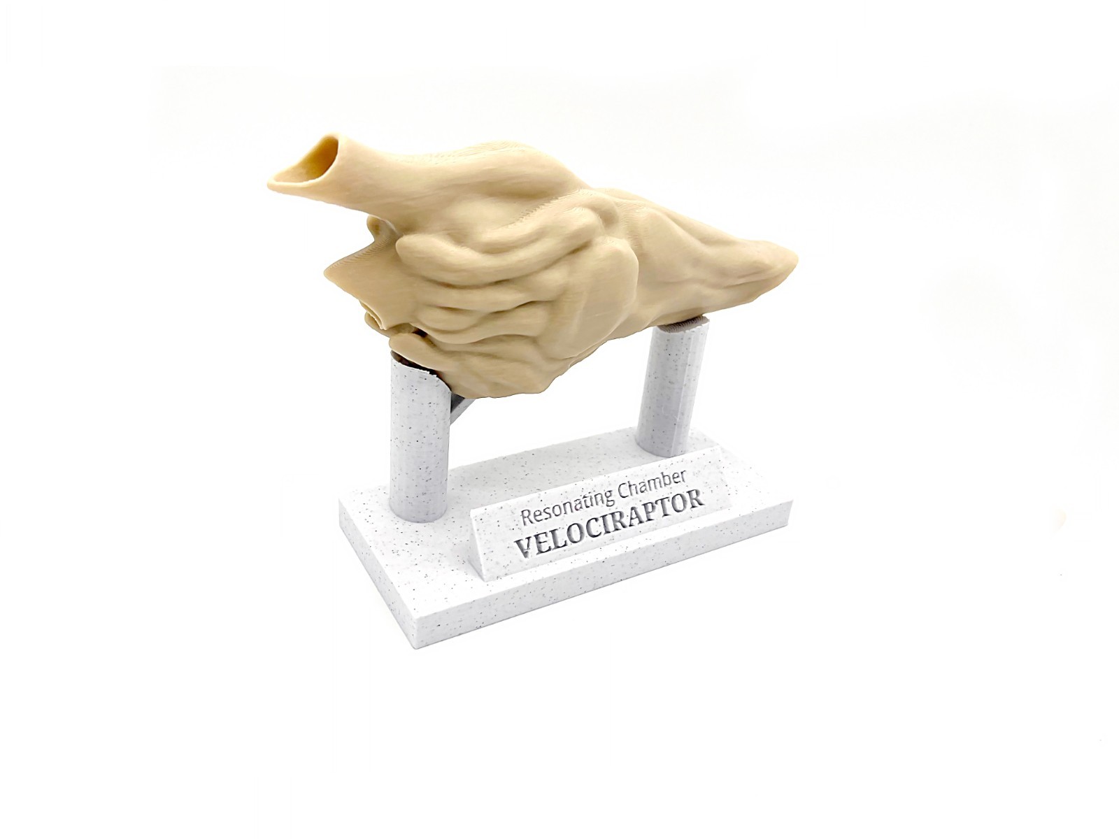 Velociraptor Resonating Chamber (Functional ) Prop Replica | Aztec Death Whistle