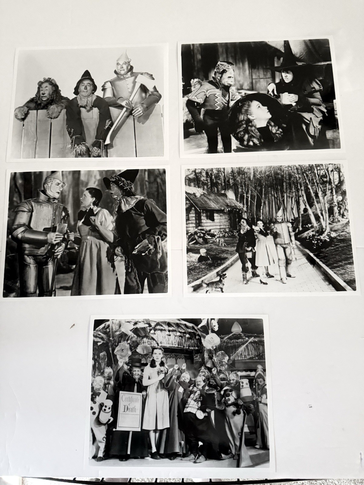 16 Wizard Of Oz Black And White 8×10 Movie & Offset Picture Photo Prints