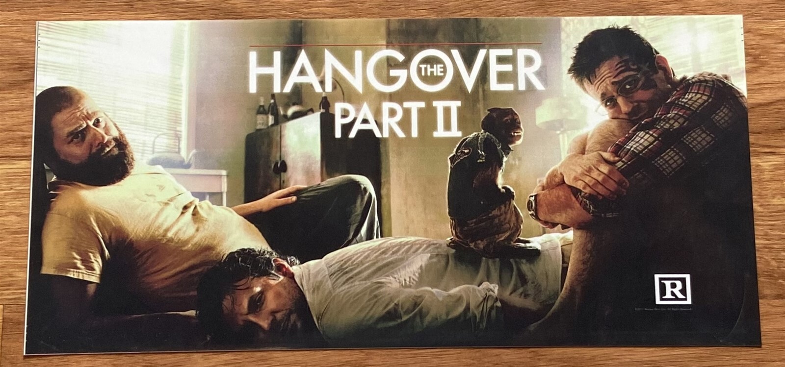 🌟 The Hangover: Part II (2011) – Movie Theater Mylar / Poster – 6×13