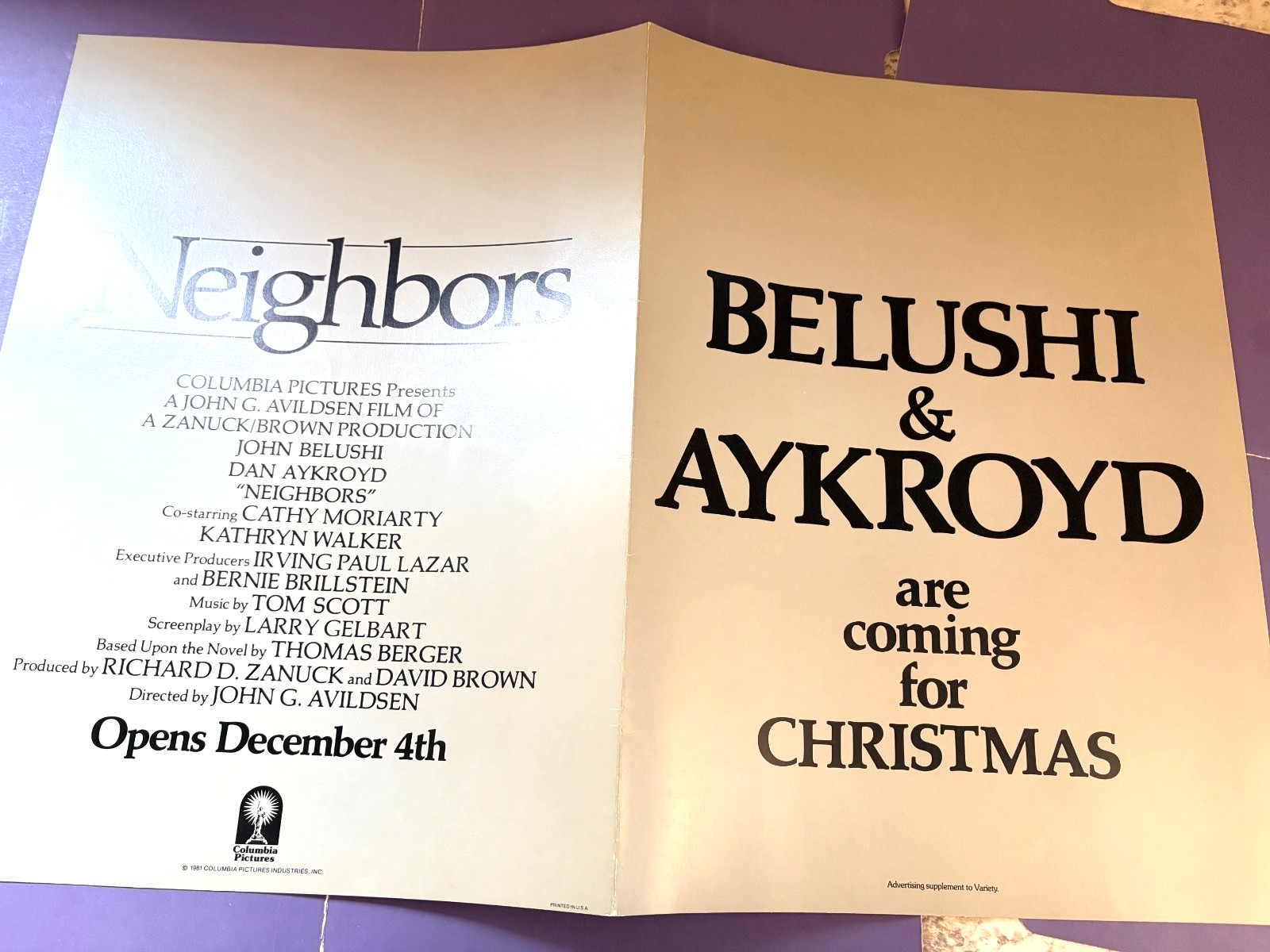 1981 Dan Aykroyd John Belushi NEIGHBORS Movie Advance Promo Flyer, 11″ x 15″