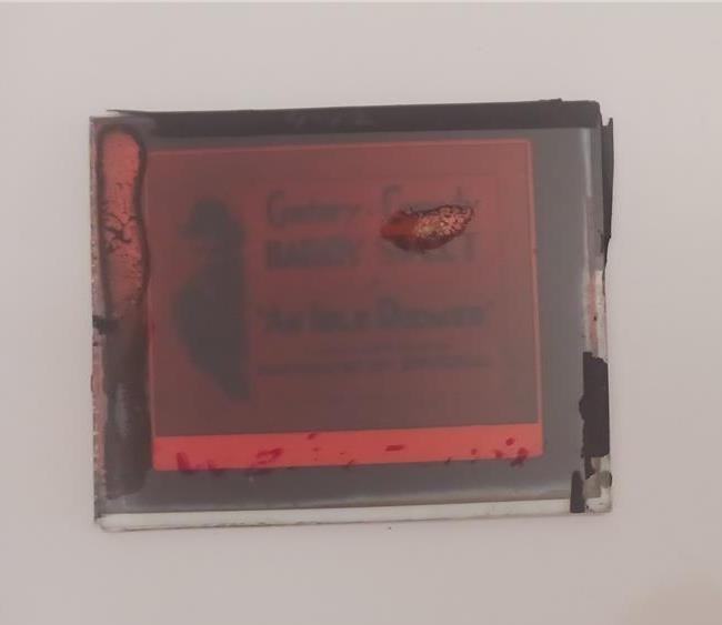MAGIC LANTERN GLASS SLIDE 1922 SILENT MOVIE AN IDLE ROOMER HARRY SWEET