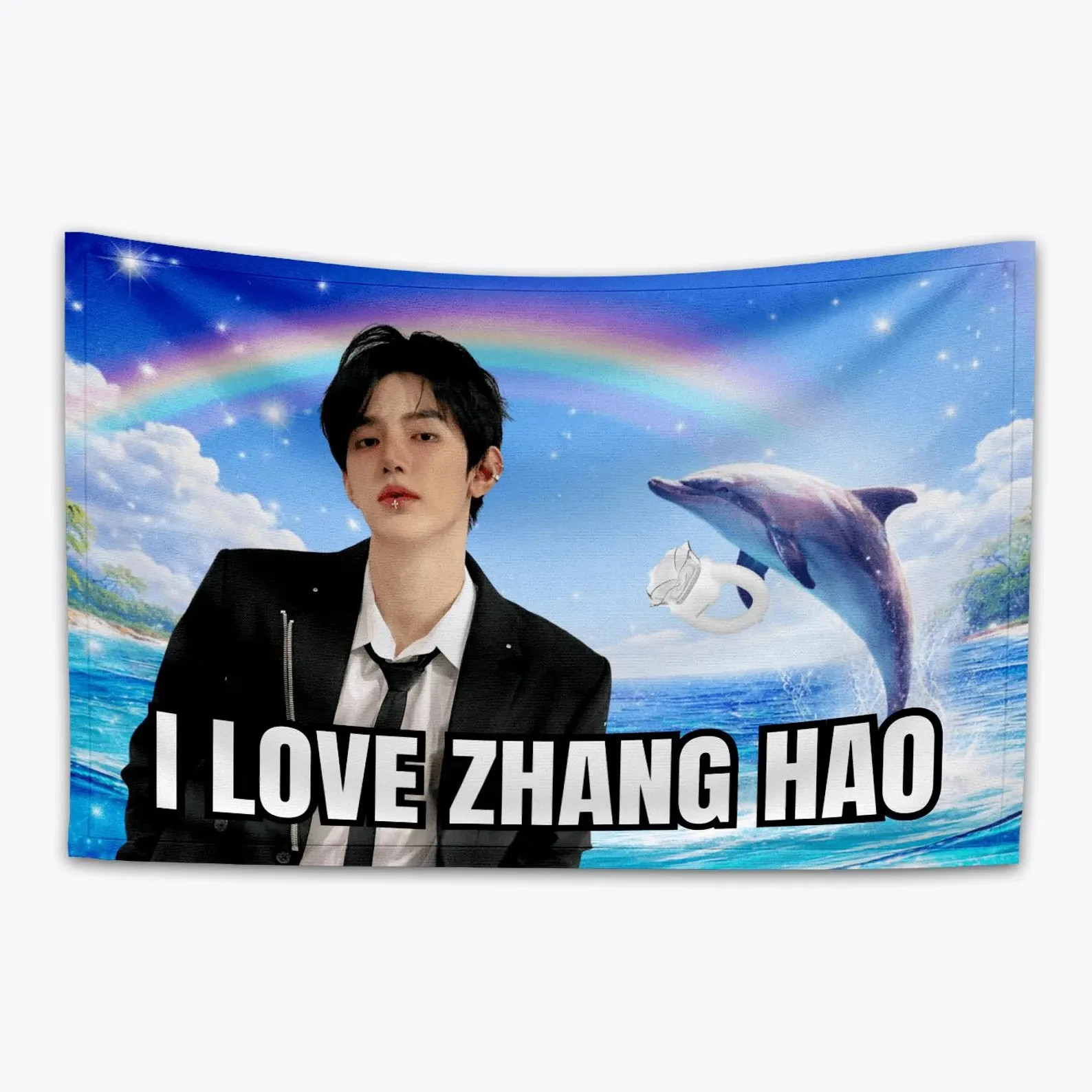AND2BLE ZHANG HAO Dolphin Meme Kpop Flag, Wall Tapestry, ZB1 Concert Merch K69