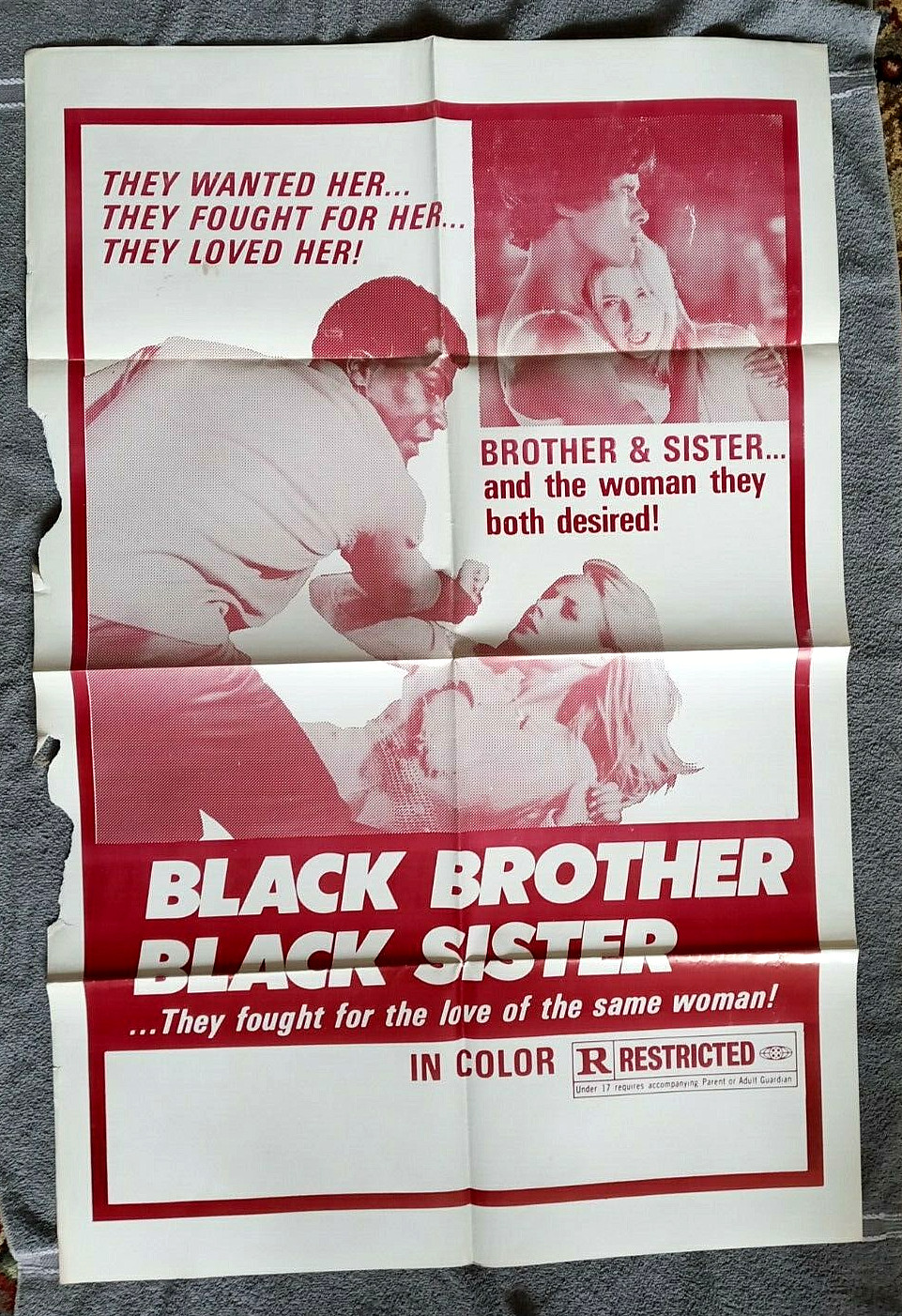 Black Brother, Black Sister Movie Poster BLAXPLOITATION Ellen Faison INGER SUNDH
