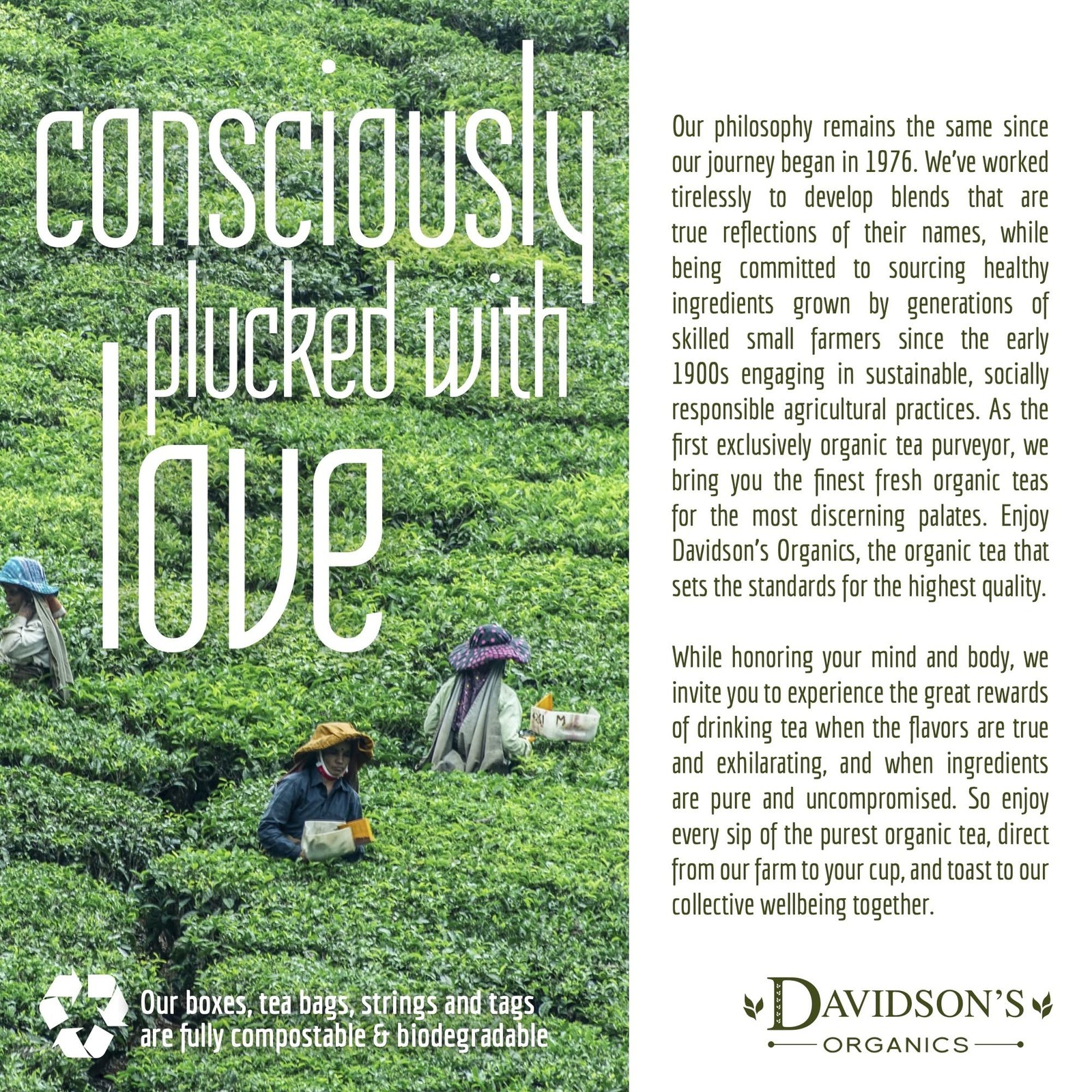 Davidson’S Davidsons Organics Gunpowder Green Loose Leaf Tea 16-Ounce