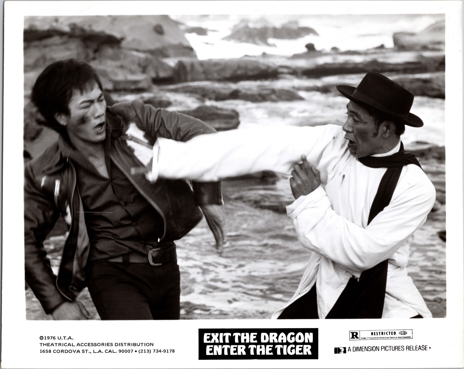 1976 Exit the Dragon, Enter the Tiger Bruce Li 8×10 Photo