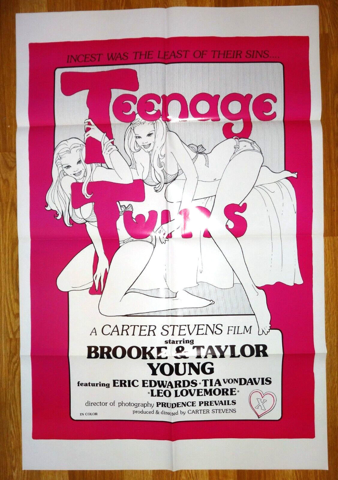 TEENAGE TWINS – Brook & Taylor Young – 27×41″ 1976 Original Adult Movie poster