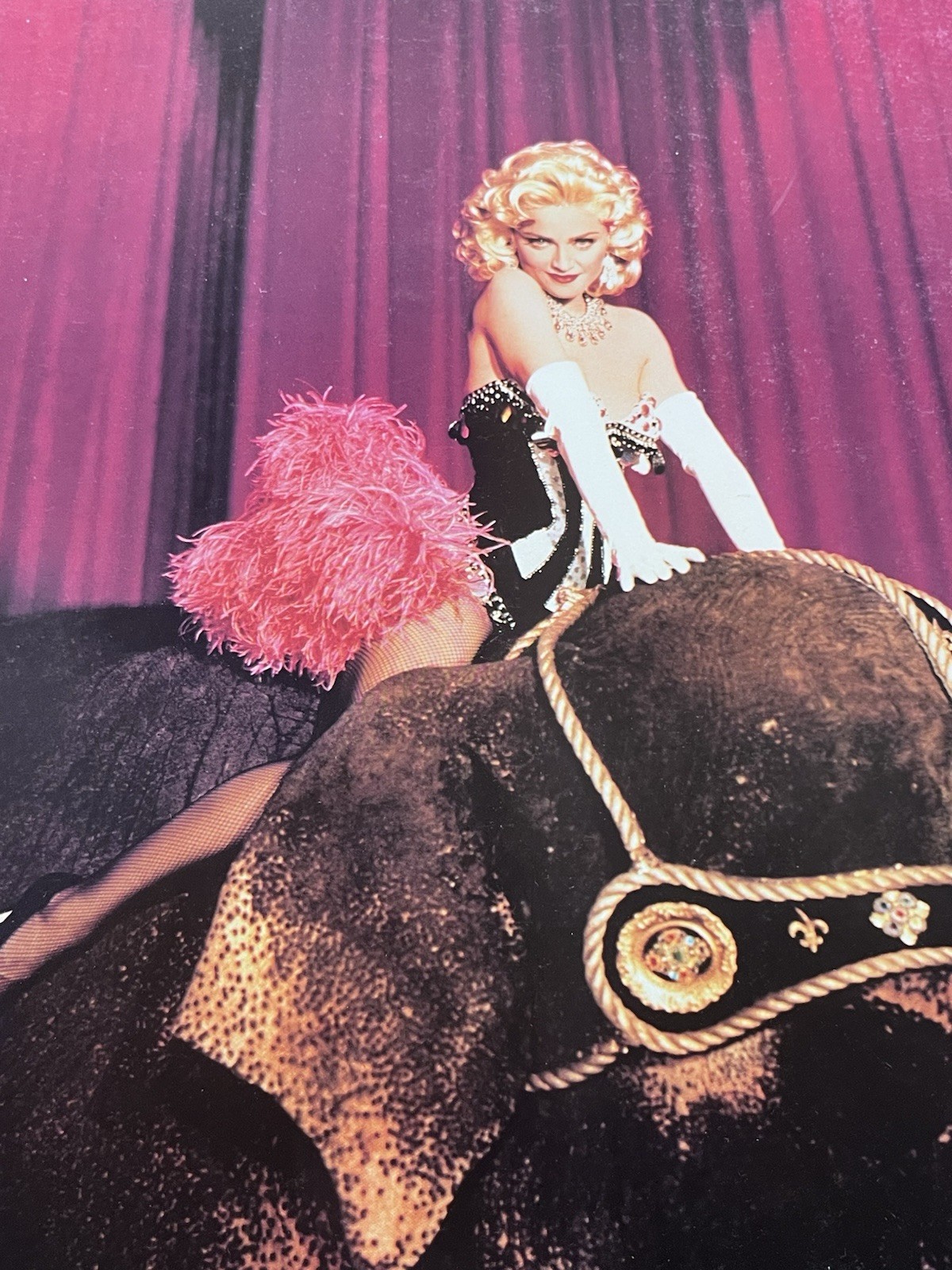 Madonna 11×14 Oversize Postcard Photo 1991 Boy Toy Inc Cabaret Stage Costume