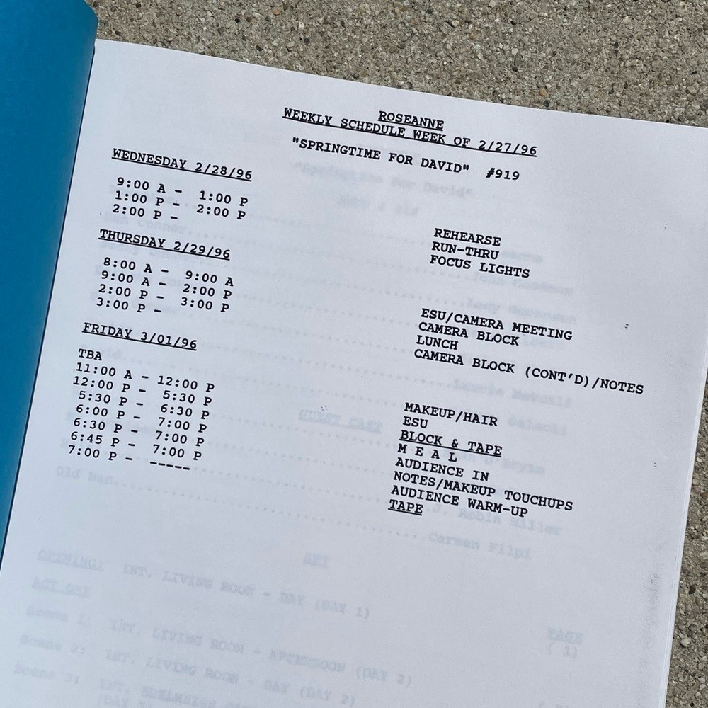 Roseanne Original 1996 Production Used Final Draft Script Goodman Barr Metcalf