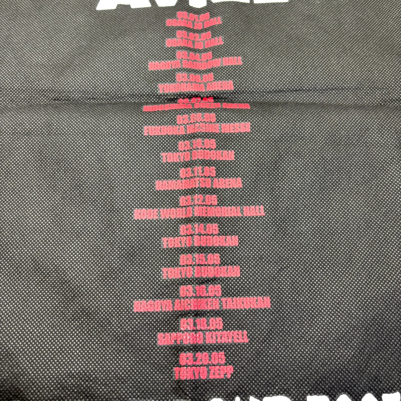 Avril Lavigne Excellent condition 2005 tour merchandis Large non-woven fabric