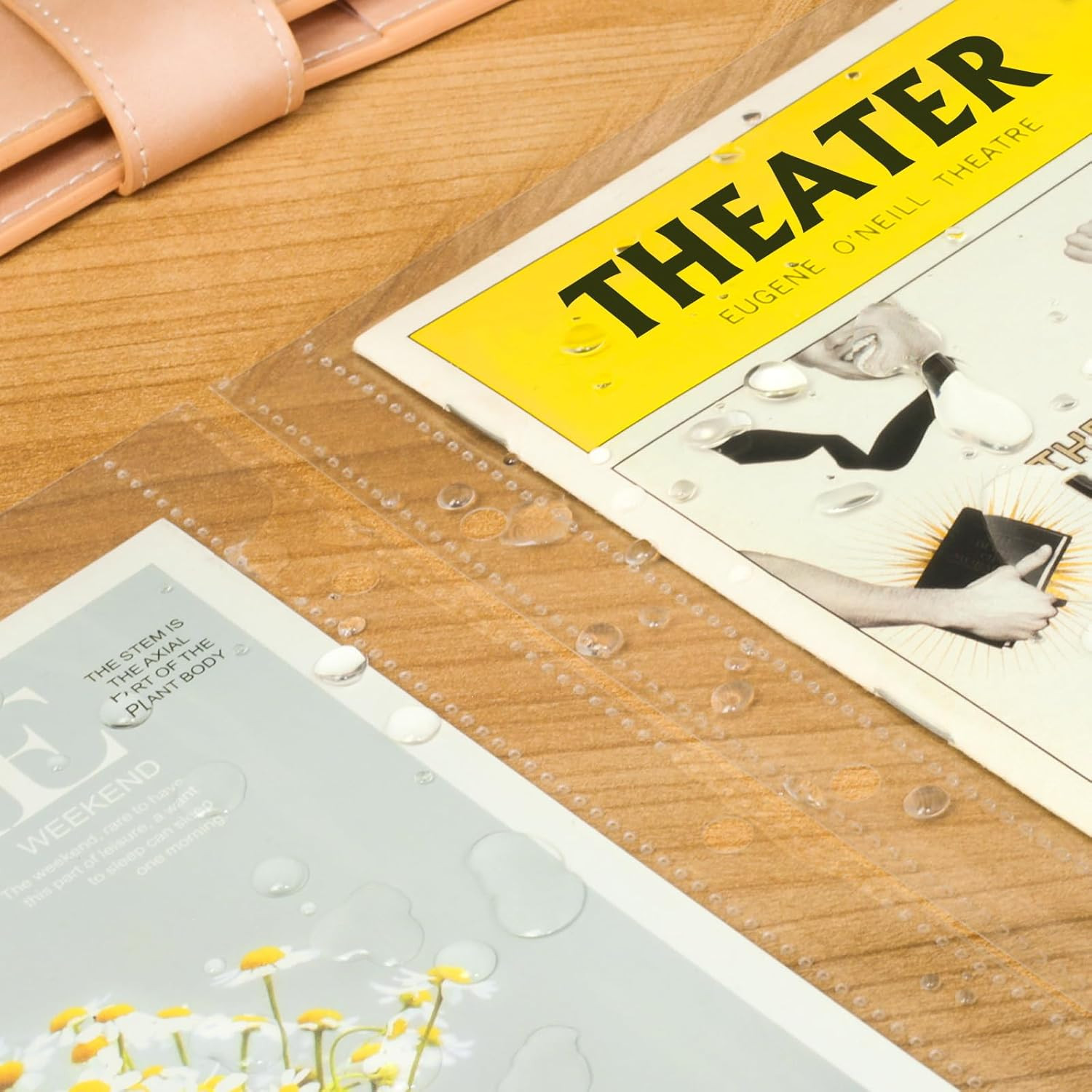 Page Protectors for Broadway Play Programs and Theater Programs, 50 Sheet
