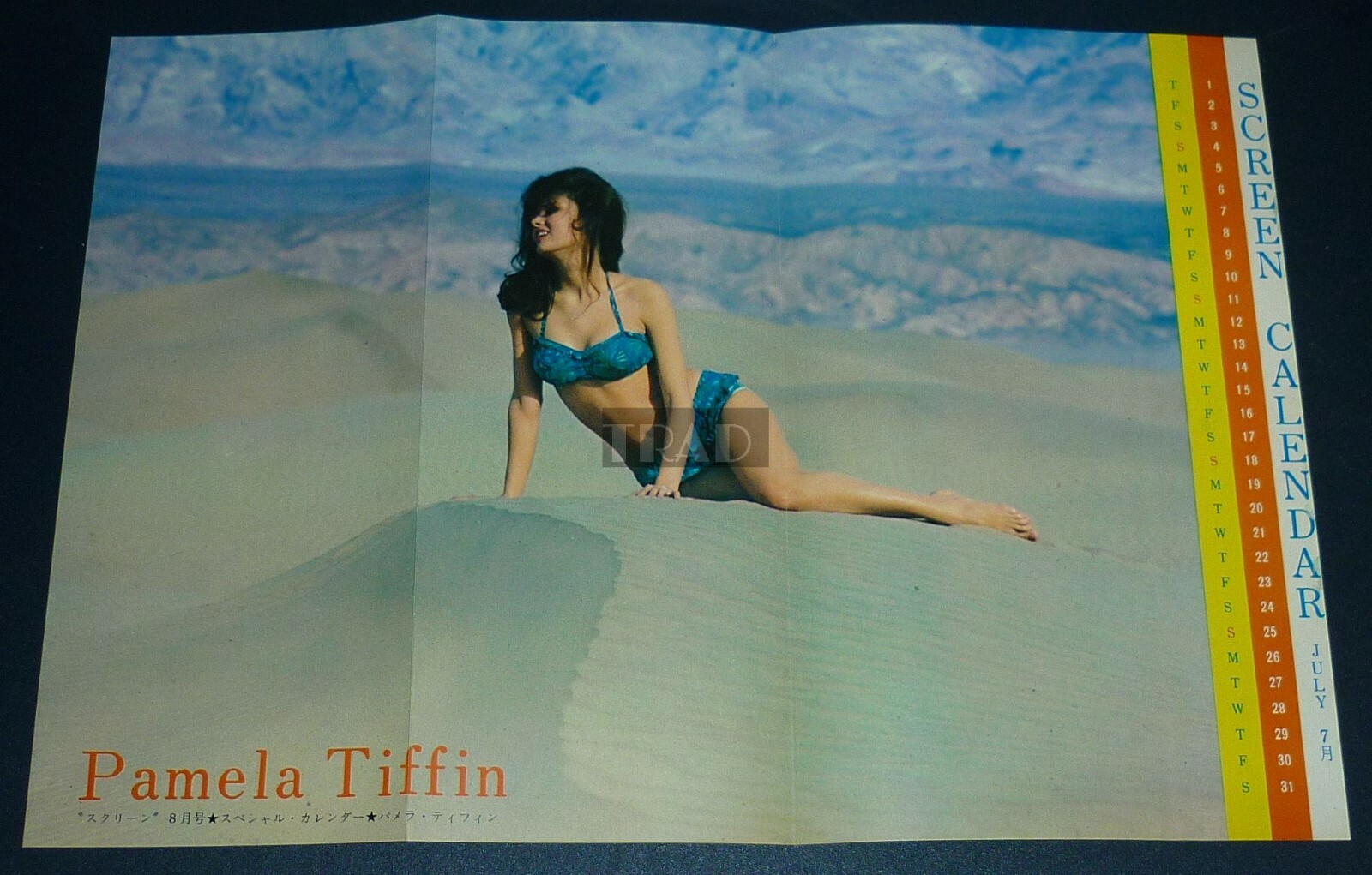 PAMELA TIFFIN in Bikini 1965 Vintage Japan Pinup Poster 10×14 (25x36cm) lf/n