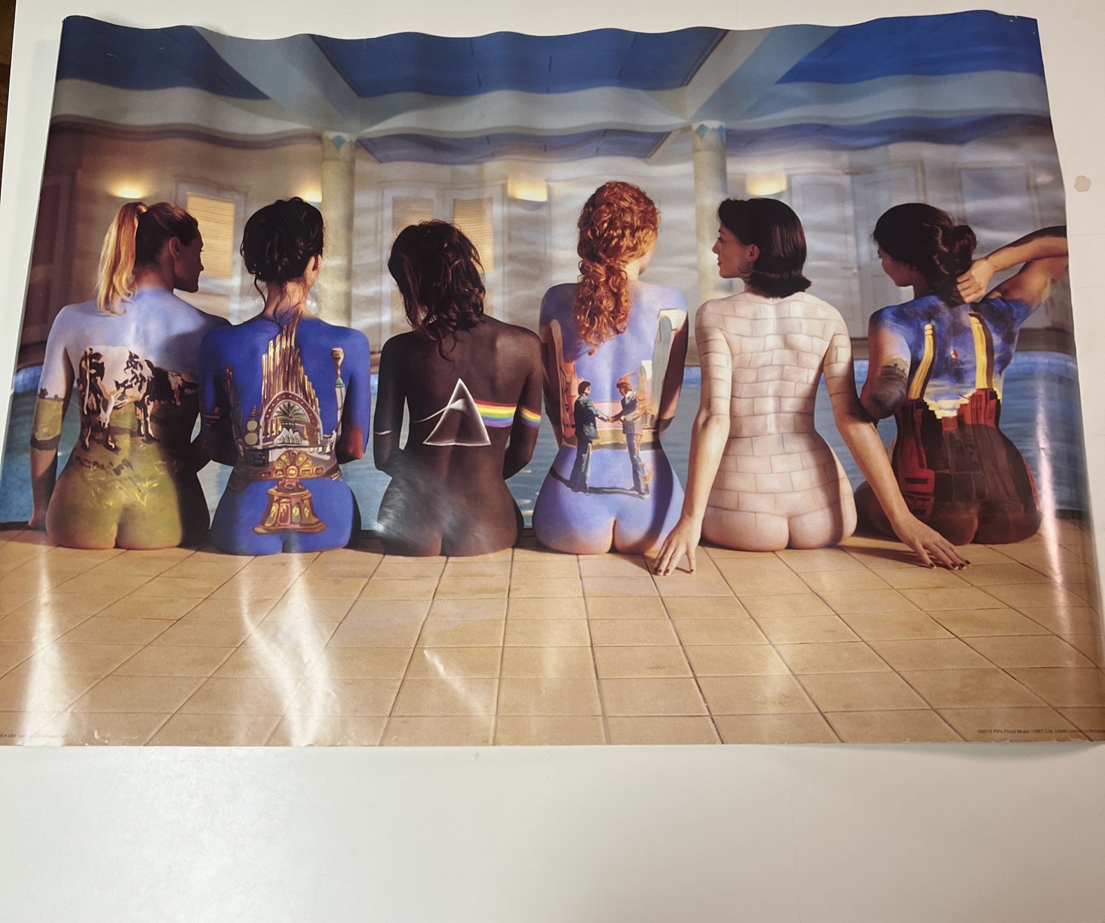 Pink Floyd Album Covers On Ladies Backs Roll Poster 24”X36” 2015 #9098 – Good