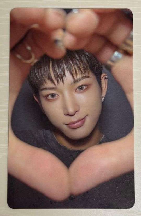&TEAM Back to Life LUNÉ Mini Fan meeting Official Benefit Photocard PC