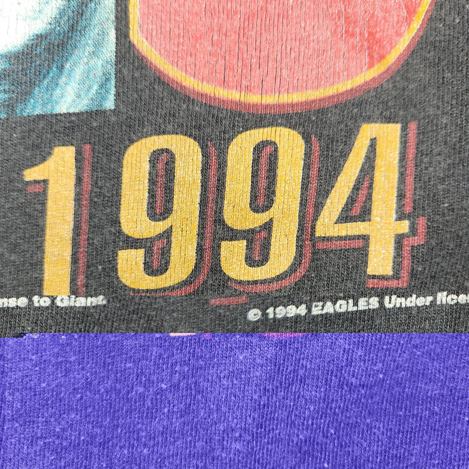 Vintage The Eagles 1994 Hell Freezes Over World Tour Concert Tee L Tulex Cotton