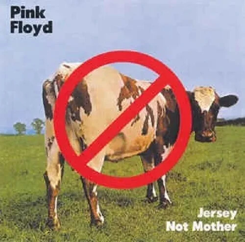 PINK FLOYD / JERSEY NOT MOTHER (2CD) JAPAN NEW