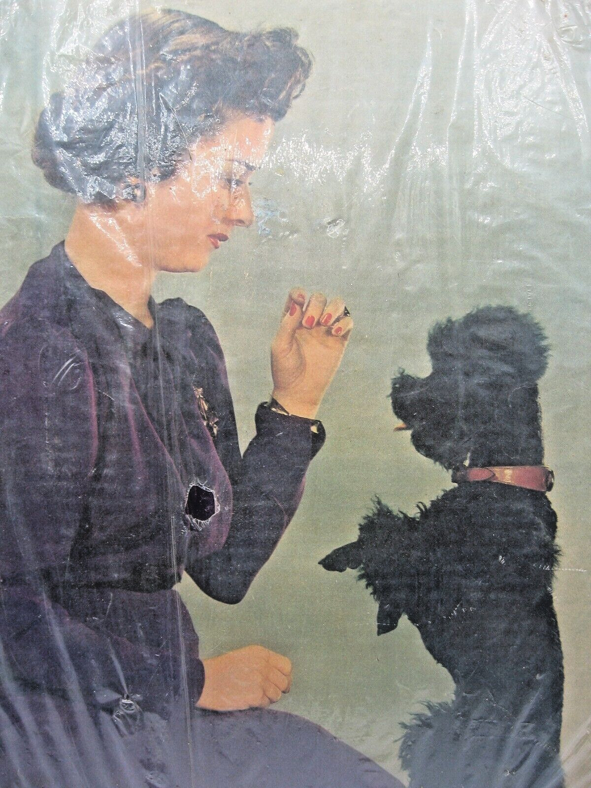 Joan Bennett Picture from Sunday News May 5 1942 with cardboard backing 15 x 11