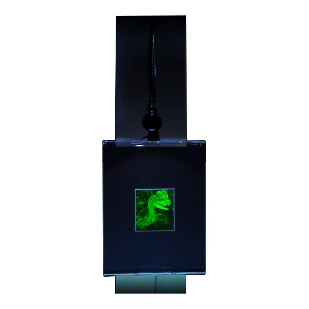 3D Jurassic Spitter Dinasaur 2-Channel Hologram Picture LIGHTED WALL MOUNT
